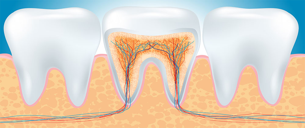 Florida Dental Nerve Injury